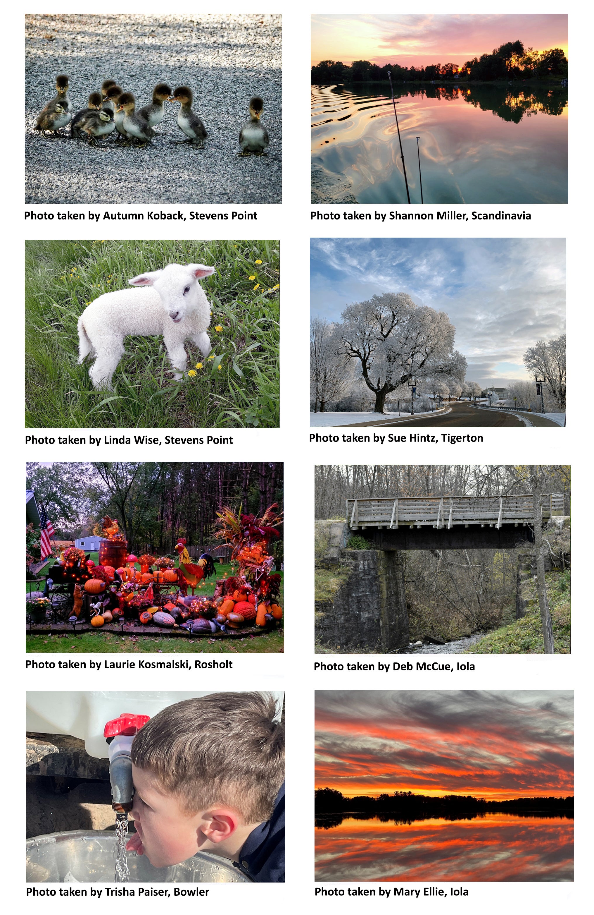 Image of honorable mention photos.