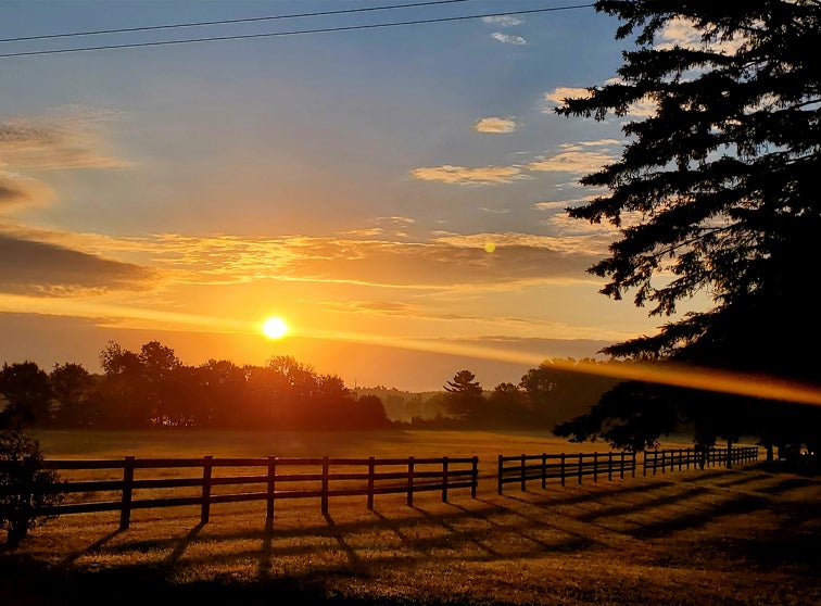 Summer sunrise.
