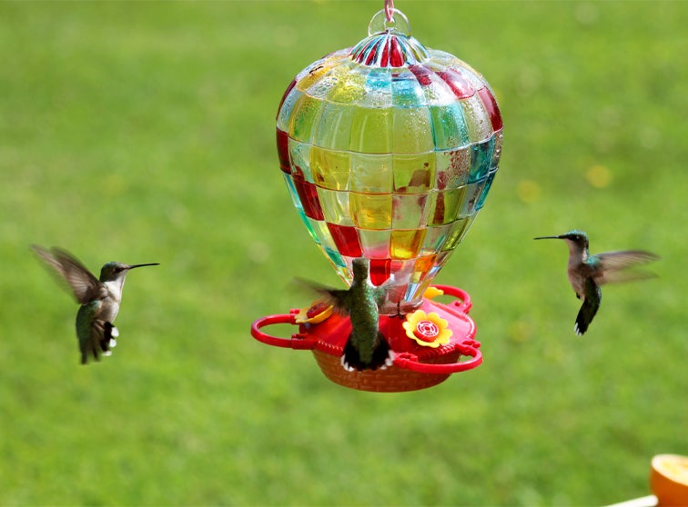 Three hummingbirds by a feeder.