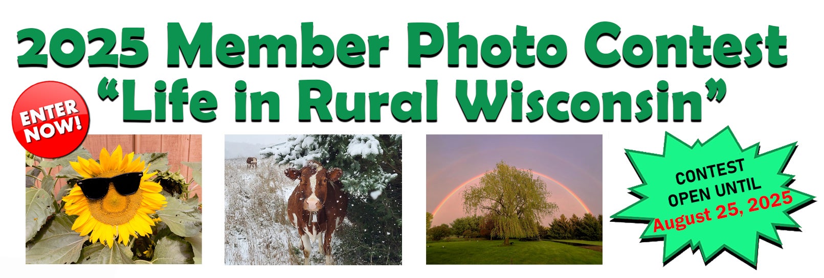 Information about 2025 CWEC Photo Contest