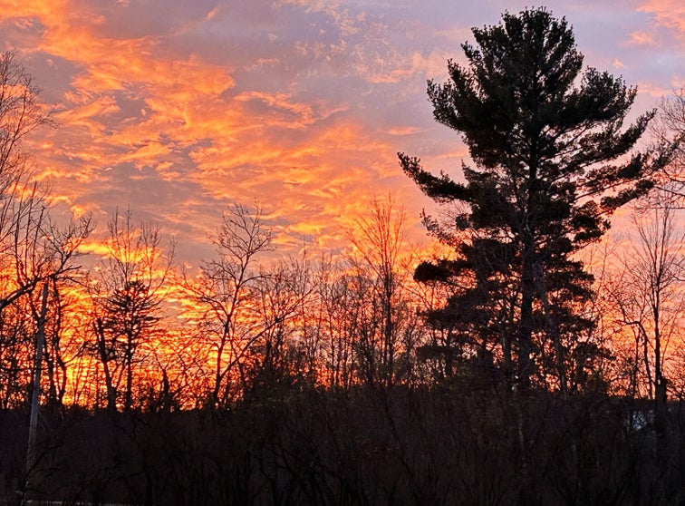 Pink sky during a sunset.