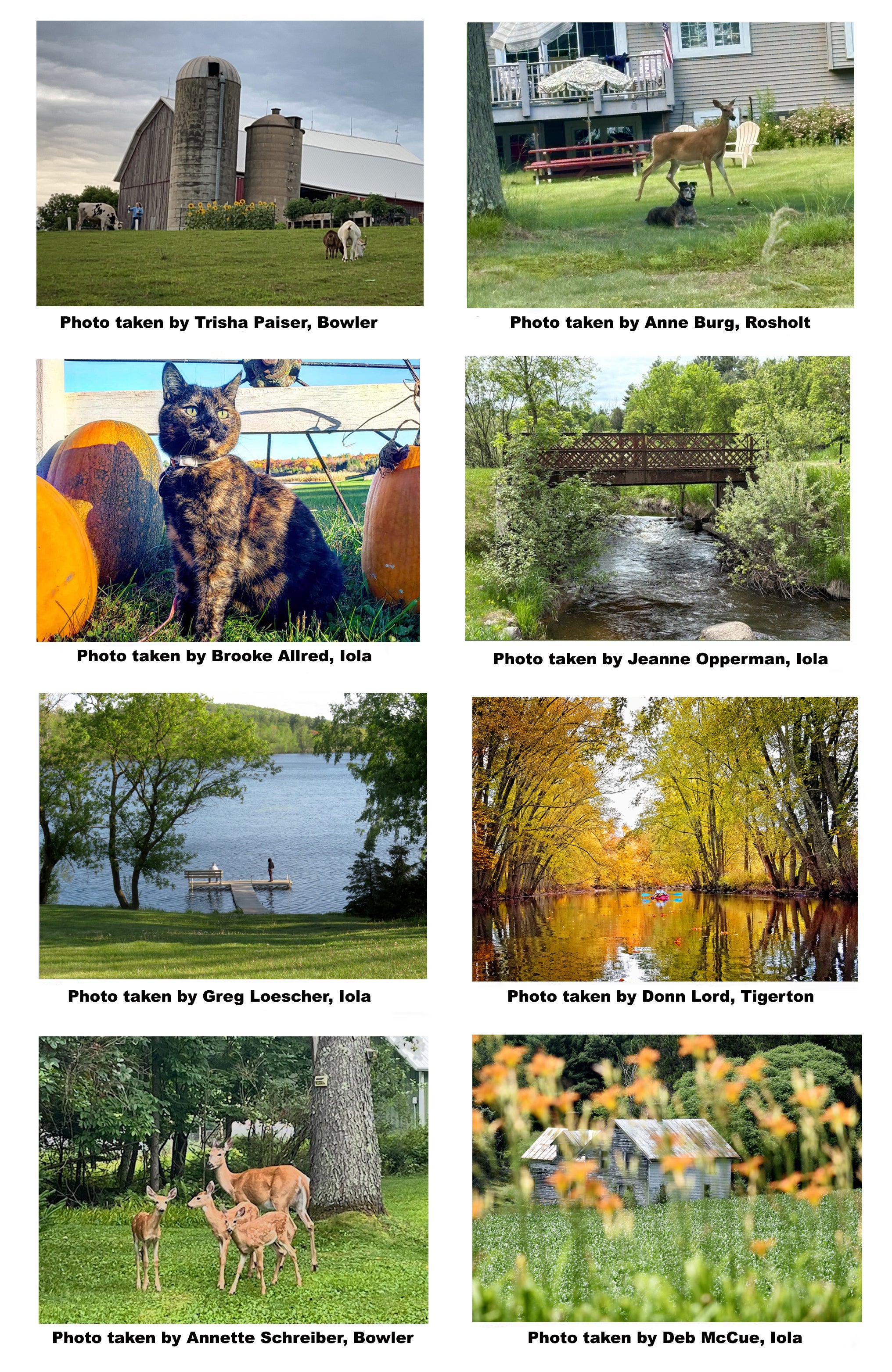 Honorable mention photos