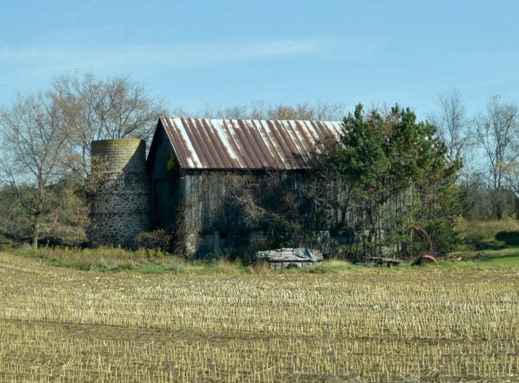Old barn behind a corn field in which the corn has been harvested.